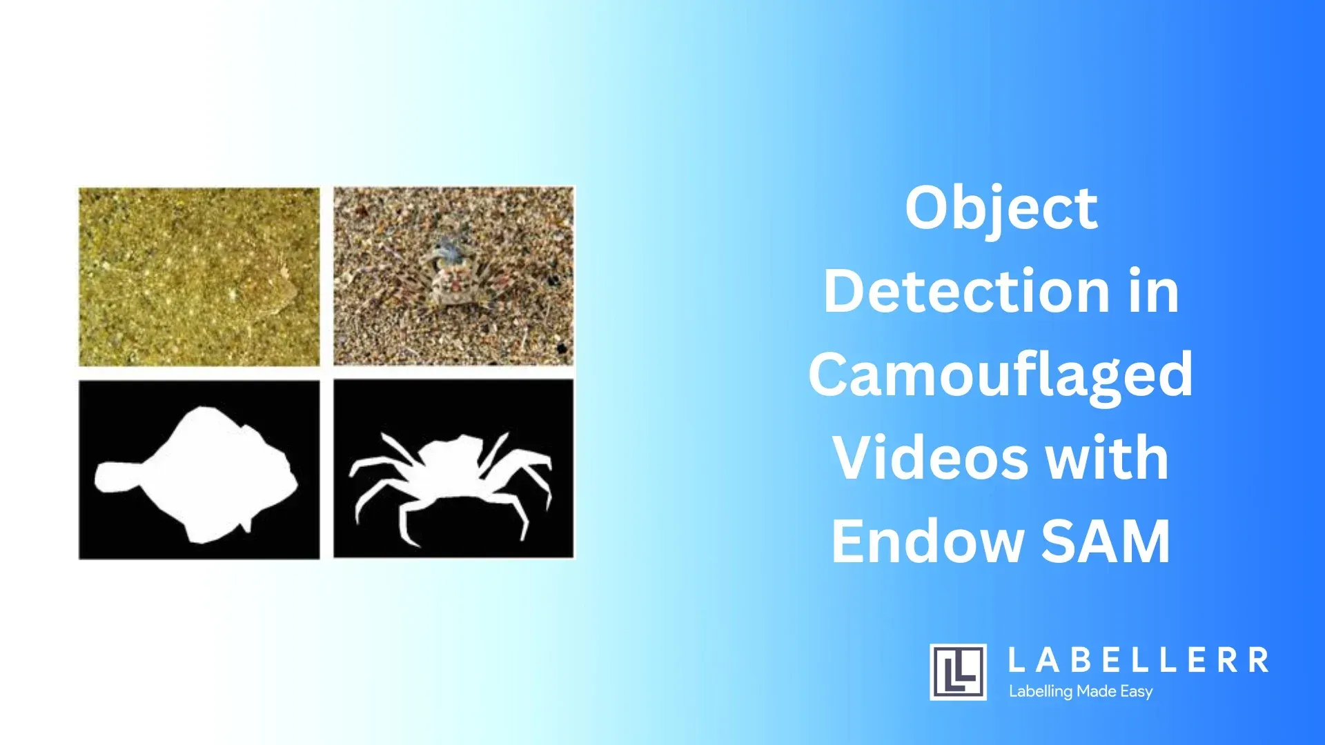 Advanced Object Detection in Camouflaged Videos with TSP-SAM for Enhanced Accuracy