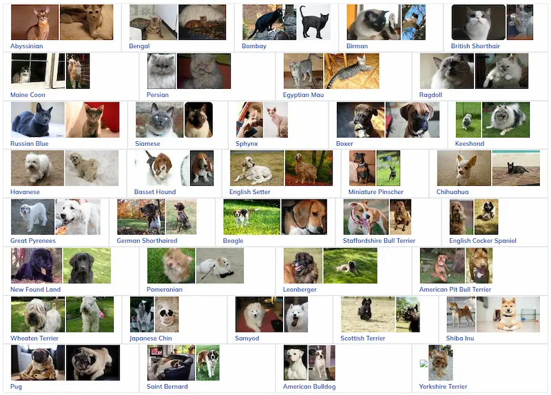 Zero-Shot Performance Of CLIP Over Animal Breed Dataset: Here're The Findings