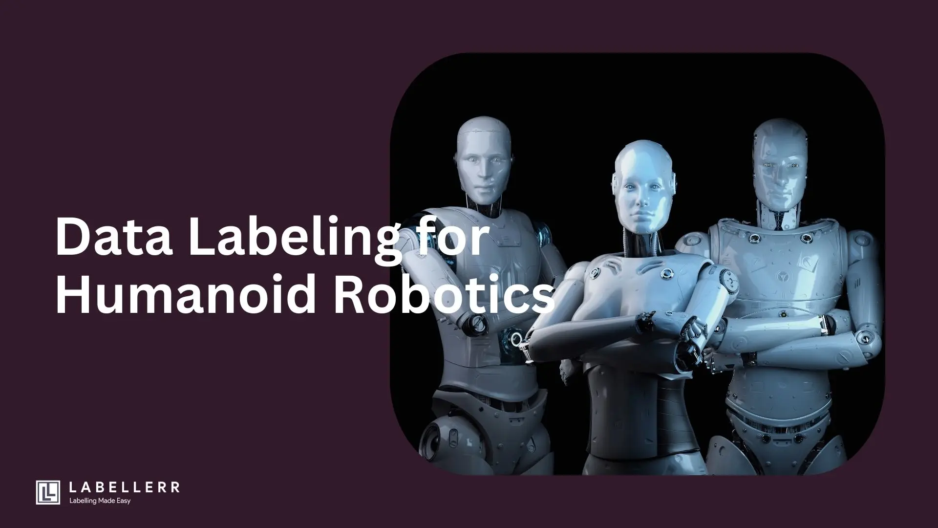 Data Labeling for Humanoid Robotics