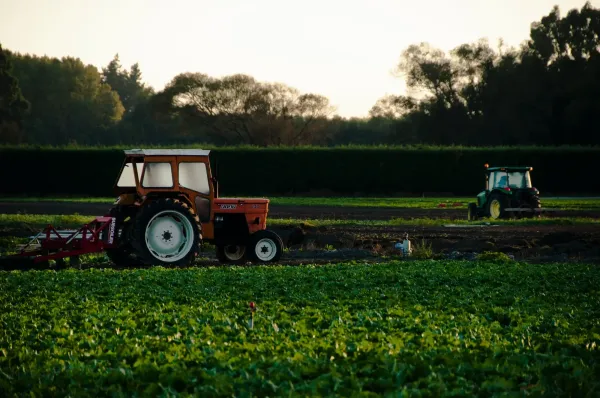 Cultivating Precision: LabelGPT's Application For Agriculture