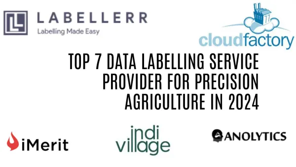 7 Best Data Labeling Service Providers for Precision Agriculture in 2024