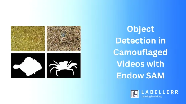 Object Detection in Camouflaged Videos with Endow SAM