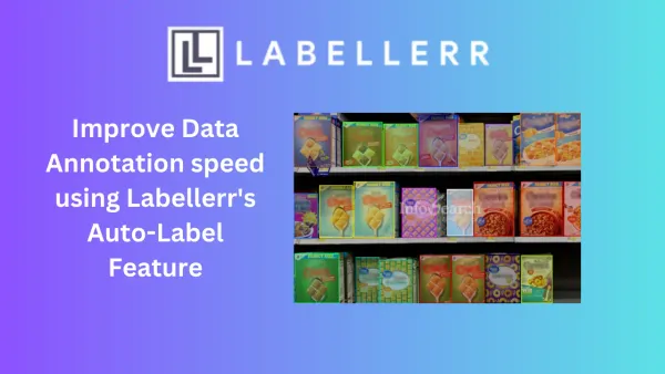 Faster Data Annotation with Labellerr's Auto-Label Feature