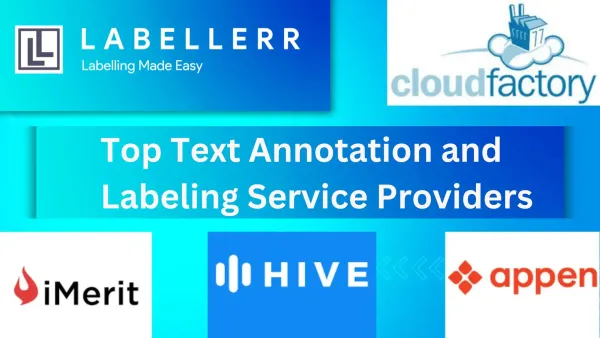 7 Best Text Annotation and Labeling Services Providers in 2025